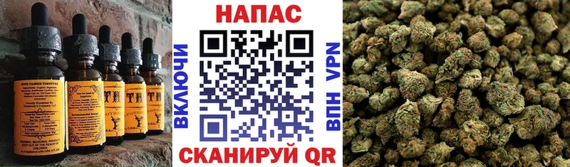 купить наркоту  Сураж  Еда ТГК марихуана 