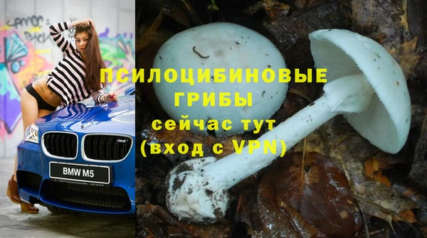 не бодяженный Арсеньев