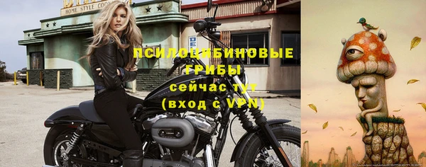 эйфоретик Армянск