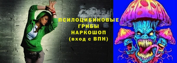 не бодяженный Арсеньев