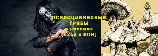 МДПВ Аркадак