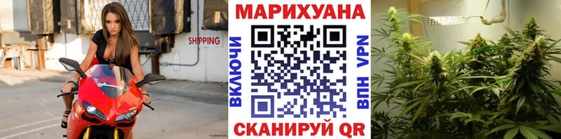 Шишки марихуана планчик  цены   Сураж 